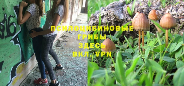 герыч Вязники