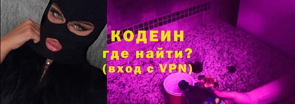 мдпв Вяземский