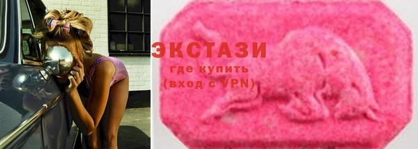 стаф Вязьма