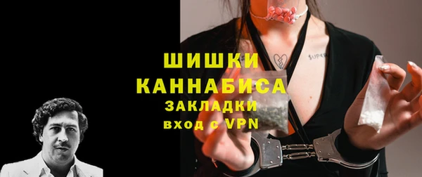 мдпв Вяземский