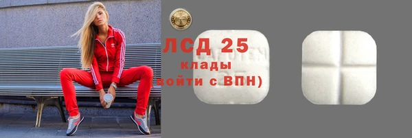стаф Вязьма