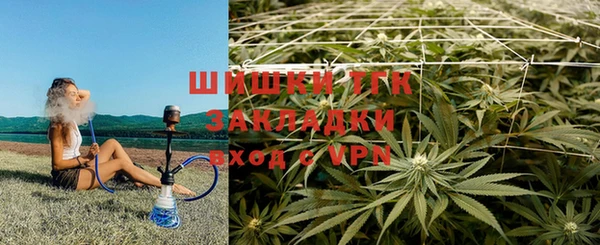 мдпв Вяземский