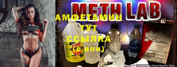стаф Вязьма