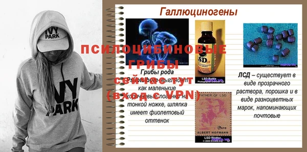 мдпв Вяземский