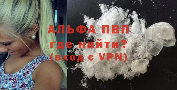 стаф Вязьма