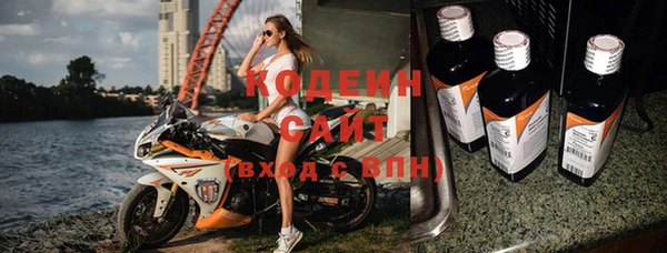мдпв Вяземский