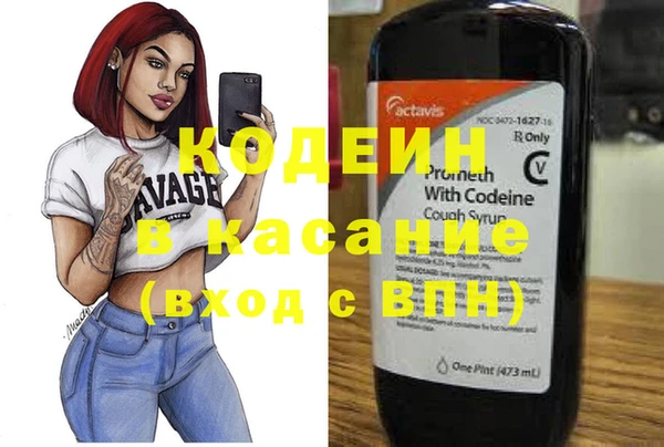 мдпв Вяземский