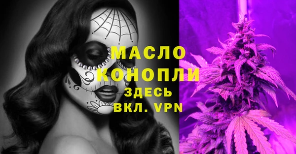 мдпв Вяземский