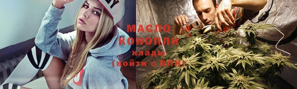 стаф Вязьма