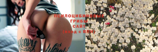 мдпв Вяземский
